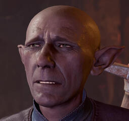 barcus wroot