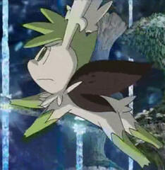 sky form sky form