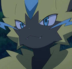 zeraora zeraora